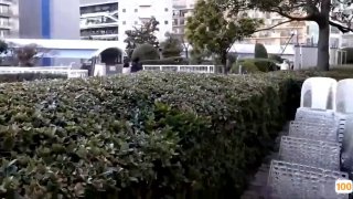 欧美黑灰_欧美亚洲精品成人视频
